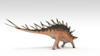 Kentrosaurus dinosaur, white background Poster Print - Item # VARPSTKVA600745P