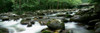 Rocks in a river, Little Pigeon River, Great Smoky Mountains National Park, Tennessee, USA Poster Print - Item # VARPPI25154