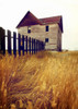 Abandoned House Near Robsart, Saskatchewan, Canada PosterPrint - Item # VARDPI2062453