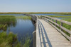 http://c328301.r1.cf1.rackcdn.com/DPI2429591LARGE.jpg