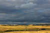 Dead Tree At Dusk With Storm Clouds Overhead, Grasslands National Park, Saskatchewan PosterPrint - Item # VARDPI2032370