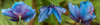 http://c328301.r1.cf1.rackcdn.com/PPI162560S.jpg