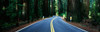 http://c328301.r1.cf1.rackcdn.com/PPI104918S.jpg