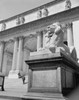 USA  New York State  New York City  Upper Midtown Manhattan  New York Public Library  lion sculpture outside building Poster Print - Item # VARSAL255418427