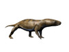 Chiniquodon is a carnivorous therapsid from the Late Triassic period Poster Print - Item # VARPSTNBT100166P