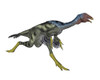 Caudipteryx dinosaur running, white background Poster Print - Item # VARPSTEDV600175P