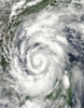 Tropical Storm Alex over the Gulf of Mexico Poster Print - Item # VARPSTSTK203619S