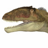 Carcharodontosaurus was a carnivorous theropod dinosaur that lived in Sahara, Africa during the Cretaceous Period Poster Print - Item # VARPSTCFR200482P