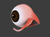 Conceptual image of human eye anatomy Poster Print - Item # VARPSTSTK700662H