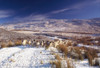 Sheep In Snow, Glenshane, Co Derry, Ireland PosterPrint - Item # VARDPI1810666