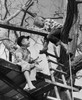 Two boys playing in tree house Poster Print - Item # VARSAL2552265