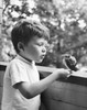 Side profile of a boy with a bird perching on his hand Poster Print - Item # VARSAL2551064