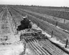 High angle view of a farmer plowing a vineyard  Fresno  California  USA Poster Print - Item # VARSAL25530426
