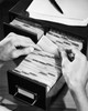 Close-up of a business person searching for files in a filing cabinet Poster Print - Item # VARSAL25527683