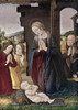 Nativity   Lorenzo de Credi  Poster Print