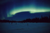 Northern Lights Over Black Spruce Forest During Winter In Southcentral Alaska PosterPrint - Item # VARDPI2157808
