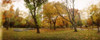 http://c328301.r1.cf1.rackcdn.com/PPI122877S.jpg