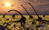Duckbill dinosaurs and large sauropods share a feeding ground at sunset Poster Print - Item # VARPSTMAS100568P