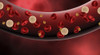 Blood vessel with platelets, white blood cells and red blood cells Poster Print - Item # VARPSTSTK701196H