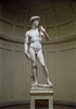 David  1501-04  Michelangelo Buonarroti  Marble  Academy of Fine Arts  Florence  Italy Poster Print - Item # VARSAL3804398014