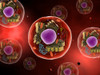 Microscopic view of animal cell Poster Print - Item # VARPSTSTK700856H