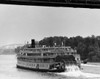 Paddleboat in a river  Delta Queen  Ohio River  Cincinnati  Ohio  USA Poster Print - Item # VARSAL25540971