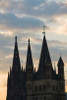 http://c328301.r1.cf1.rackcdn.com/PPI138661.jpg