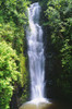 Hawaii, Maui, Hana, Wailua Falls Valley, Waterfall Surrounded By Lush Greenery PosterPrint - Item # VARDPI1993752