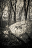 Dogtown rocks with inspirational word 'Truth', Gloucester, Cape Ann, Essex County, Massachusetts, USA Poster Print - Item # VARPPI167092