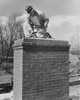 Low angle view of a man repairing a chimney Poster Print - Item # VARSAL25537130