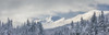 Clouds Clearing From The Kenai Mountains Above Turnagain Pass After A Winter Snow Storm, Fresh Snow In The Trees, Early Morning Sun, Turnagain Pass, Chugach National Forest, Southcentral Alaska, Usa. PosterPrint - Item # VARDPI2332819