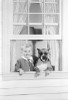 Boy with dog looking through window  portrait Poster Print - Item # VARSAL255416921 Boy with dog looking through window  portrait Poster Print - Item # VARSAL255416921