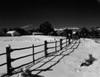 USA  Colorado  Winter farm scene with rail fence Poster Print - Item # VARSAL255424811