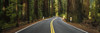 http://c328301.r1.cf1.rackcdn.com/PPI163826L.jpg