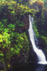 Hawaii, Maui, Foliage And Waterfall Along Hana Highway PosterPrint - Item # VARDPI1993742