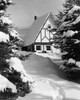 Snow covered trees in front of a house Poster Print - Item # VARSAL25532056