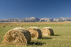 Hay Bales, Alberta, Canada PosterPrint - Item # VARDPI1837076