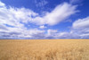 http://c328301.r1.cf1.rackcdn.com/DPI2003449LARGE.jpg