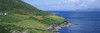 http://c328301.r1.cf1.rackcdn.com/DPI1798887LARGE.jpg