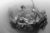 Scuba divers explore the wreck of a Japanese Maru warship sunk during World War 2, Morovo Lagoon, Solomon Islands Poster Print - Item # VARPSTSJN400294U