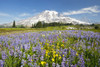 Wildflowers In Paradise Park With Mount Rainier In The Background; Mount Rainier National Park, Washington,Usa PosterPrint - Item # VARDPI1868519