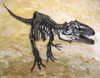 Giganotosaurus dinosaur skeleton on textured background Poster Print - Item # VARPSTHPT600002P