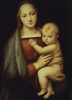 Madonna del Granduca   ca.1506  Raphael   Oil on wood panel   Palazzo Pitti  Palatine Gallery  Florence  Italy  Poster Print - Item # VARSAL470102