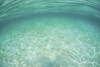 Sunlight ripples across a shallow sand flat in Indonesia. This tropical region is known for its beautiful coral reefs and high marine biodiversity Poster Print - Item # VARPSTETH400430U