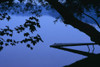 Lake And Trees At Dusk PosterPrint