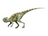 Staurikosaurus dinosaur, white background Poster Print
