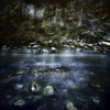 A river in a forest, Ritsa Nature Reserve, Abkhazia, Georgia. Poster Print - Item # VARPSTEVK200179S