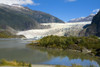 View Of Mendenhall Glacier, Near Juneau, Southeast Alaska, Summer PosterPrint - Item # VARDPI2169192