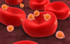 Conceptual image of malaria parasites within red blood cells Poster Print - Item # VARPSTSTK700741H