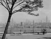 USA  New York State  New York City  Manhattan  view of city's skyline from park Poster Print - Item # VARSAL255418462
